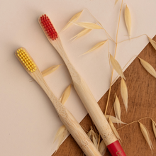 Carregar imagem no visualizador da galeria, Brosse à dents en bambou et nylon Capeebara rouge &amp; jaune
