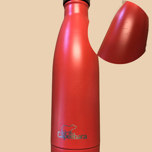 PM - Bouteille Inox Isotherme